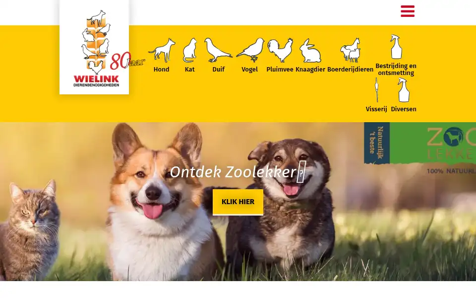 Screenshot of wielink.nl
