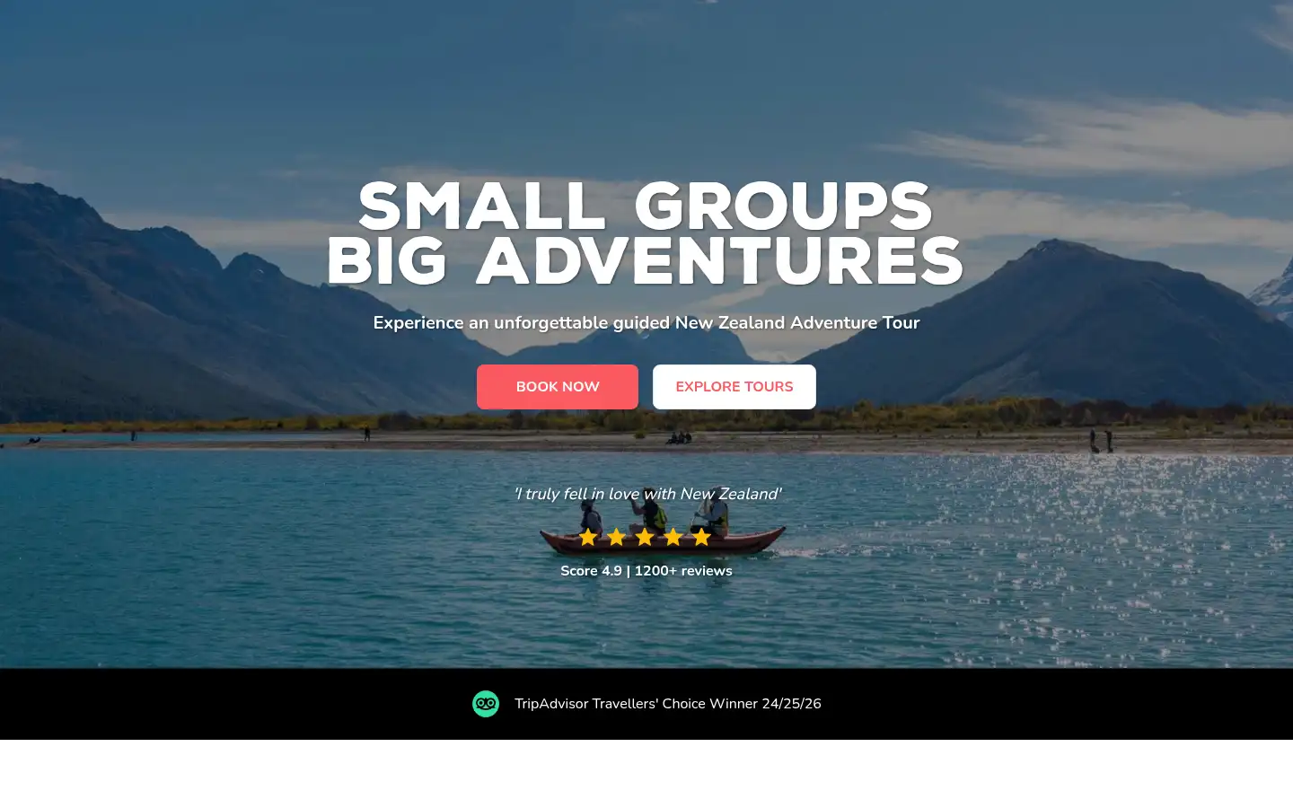 Screenshot of wildkiwi.com