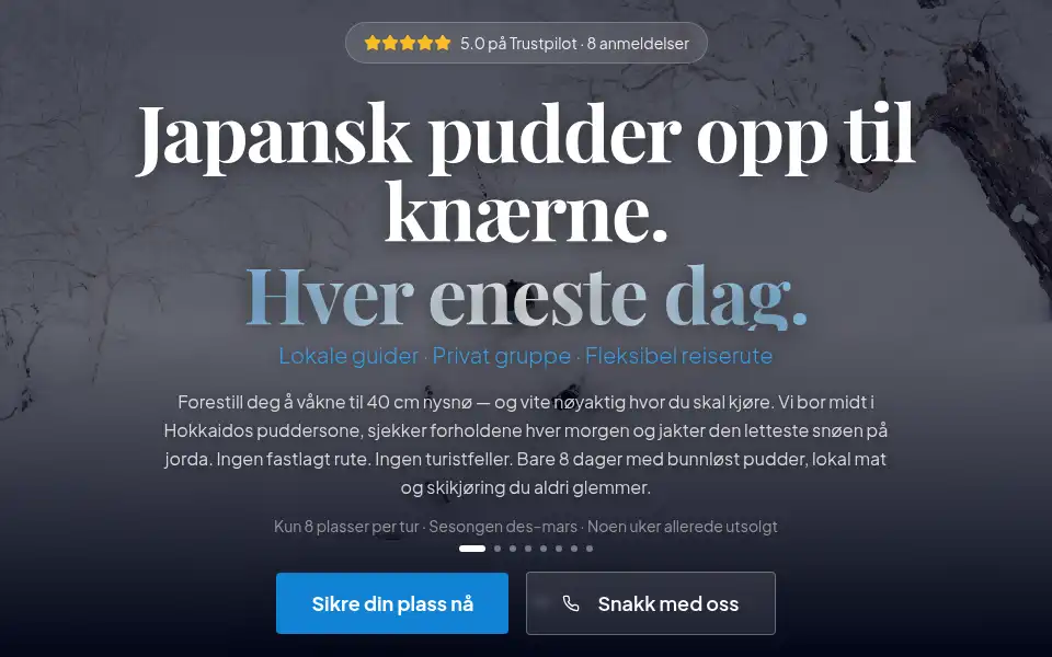 Screenshot of wildr.shop