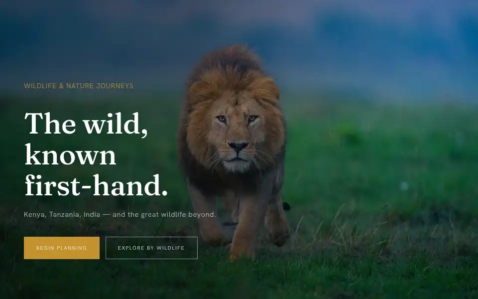 Screenshot of wildvoyager.com