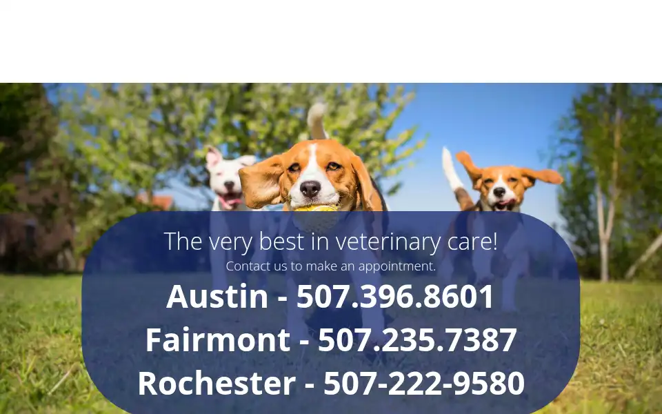 Screenshot of willowpethospital.com