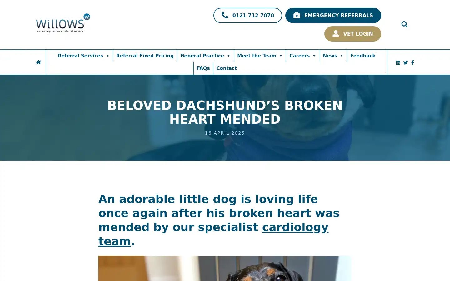 Screenshot of willows.uk.net