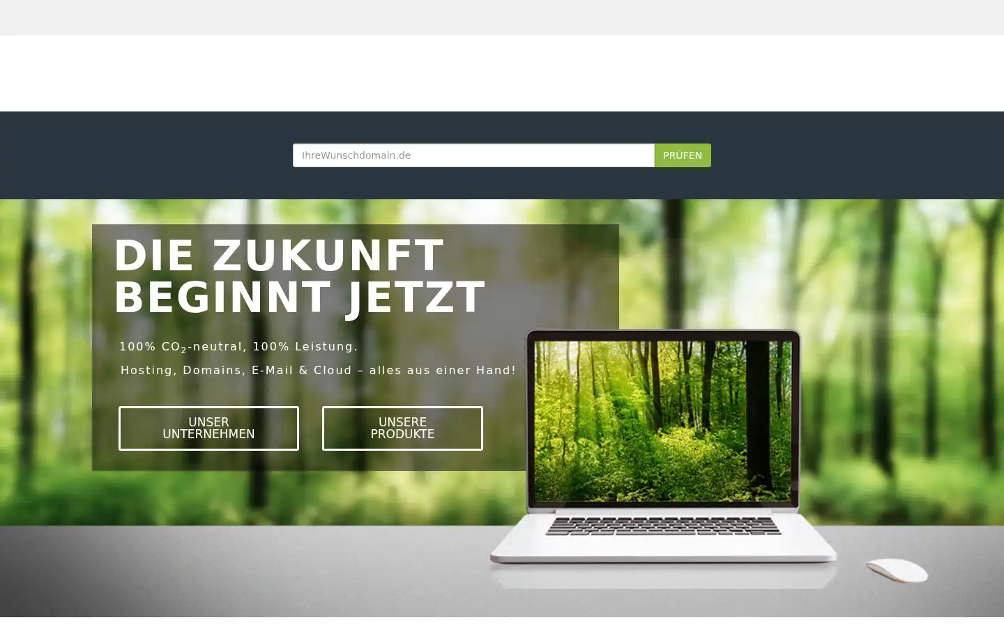 Screenshot of wint.global