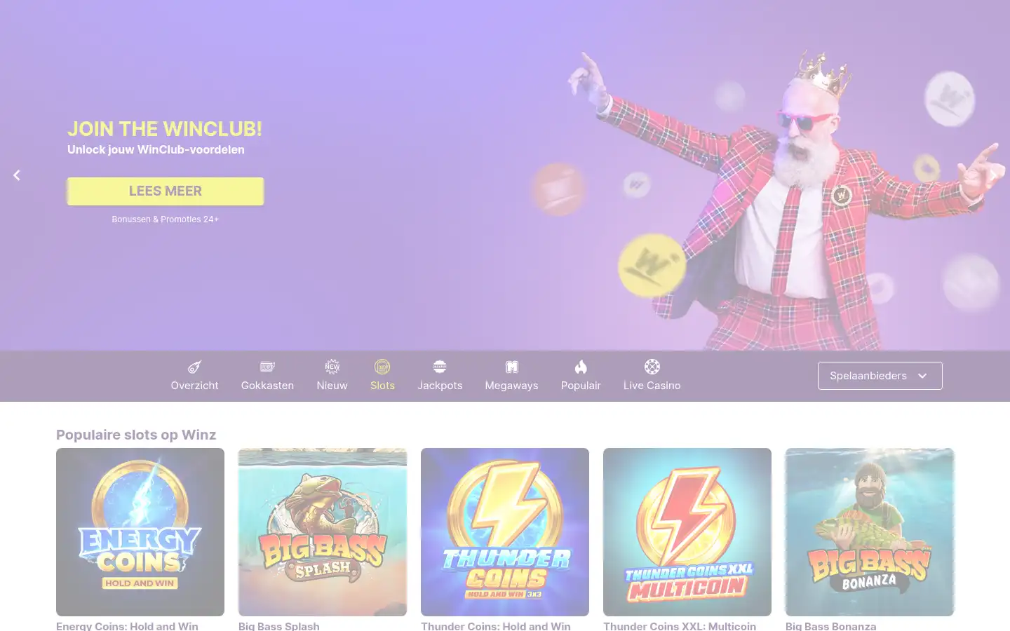 Screenshot of winz.nl