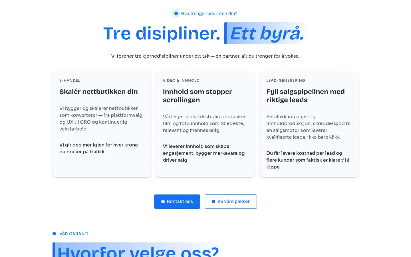 Screenshot of wisemarketing.no