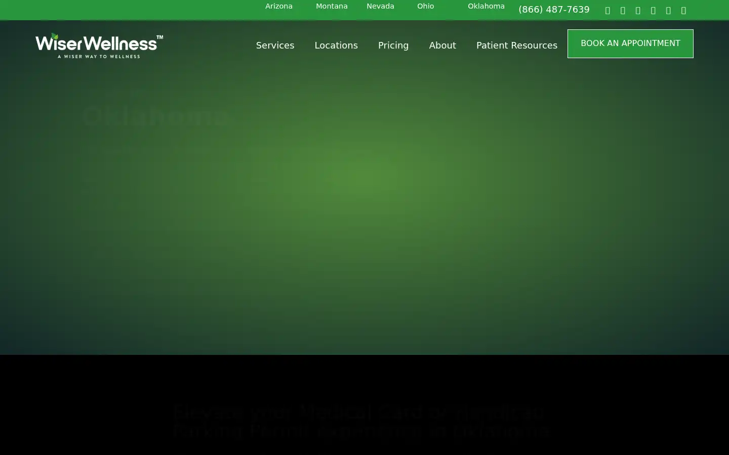 Screenshot of wiserwellness.com