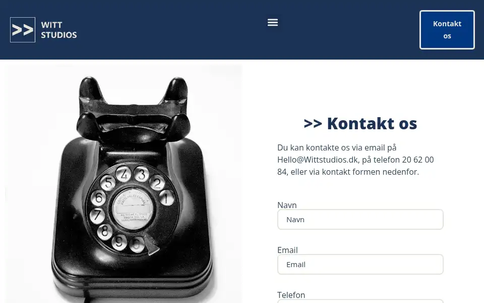 Screenshot of wittstudios.dk