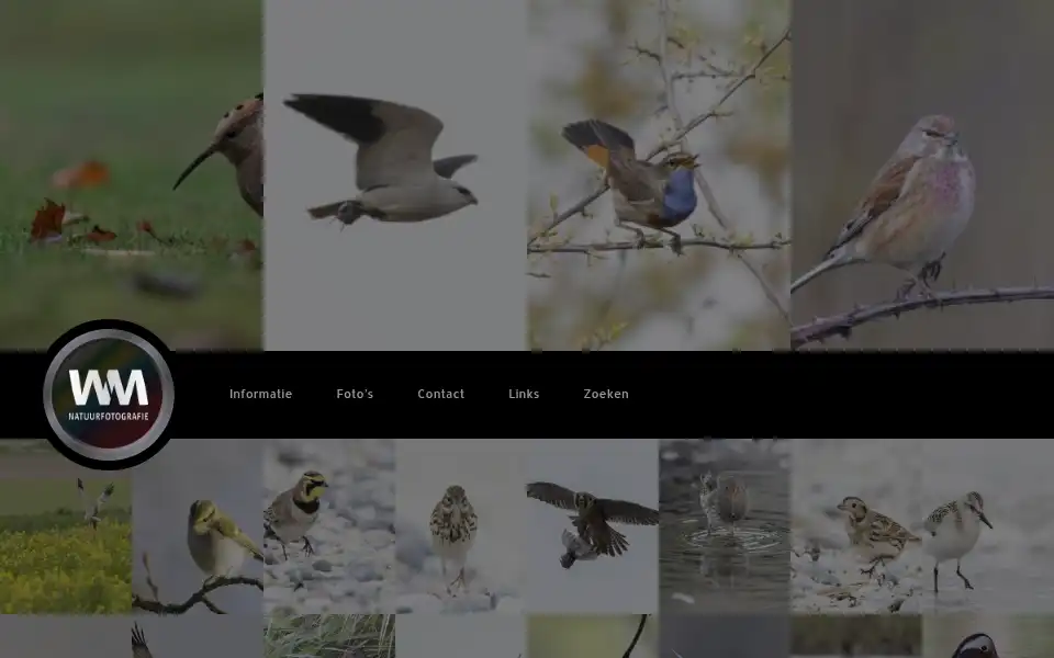 Screenshot of wmnatuurfotografie.nl