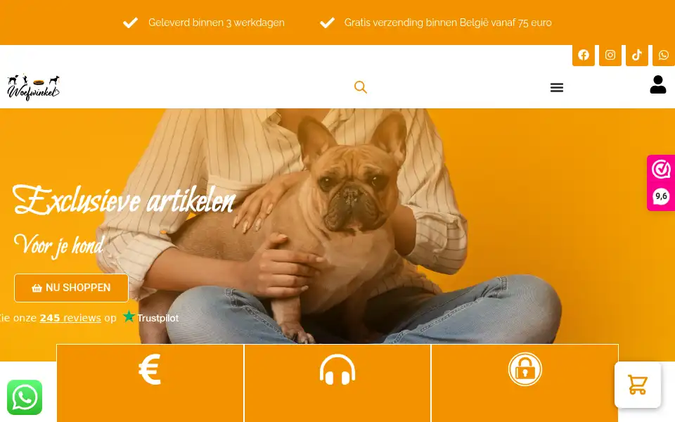 Screenshot of woefwinkel.be