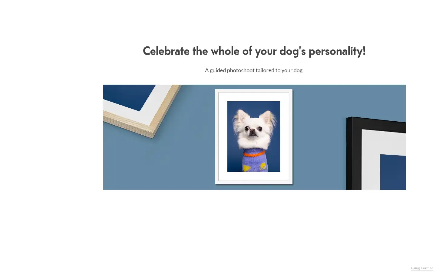 Screenshot of woofphotography.co.uk