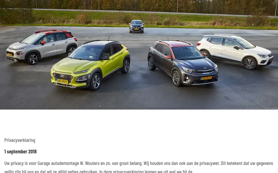 Screenshot of wouters-autos.nl