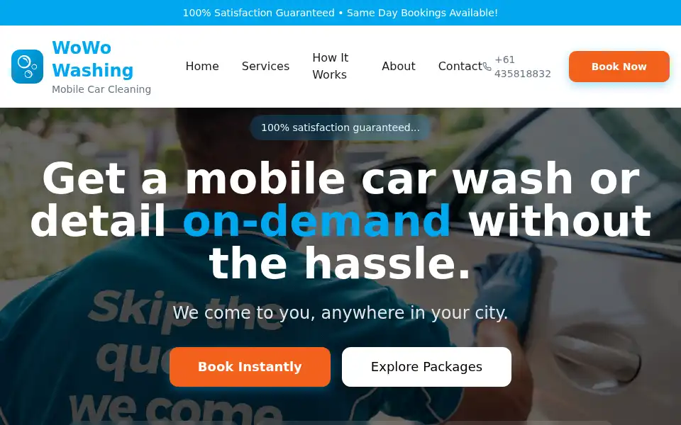 Screenshot of wowowashing.com