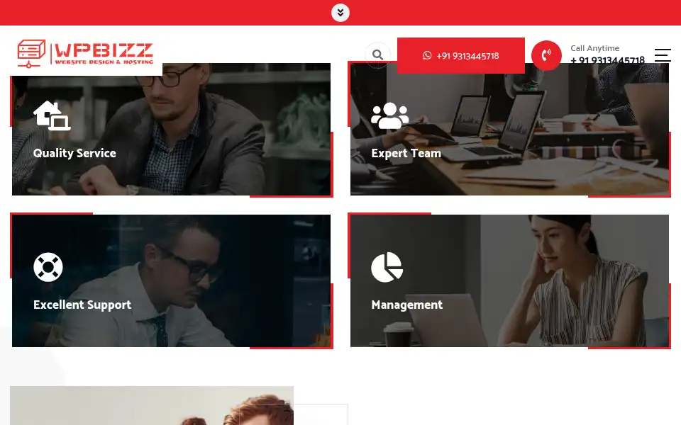 Screenshot of wpbizz.in
