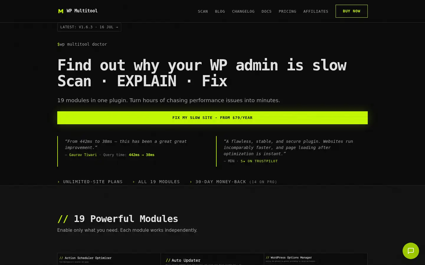 Screenshot of wpmultitool.com