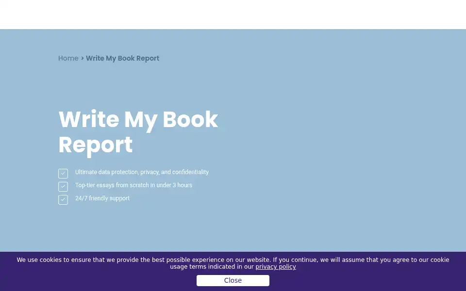 Screenshot of writemyessays.org