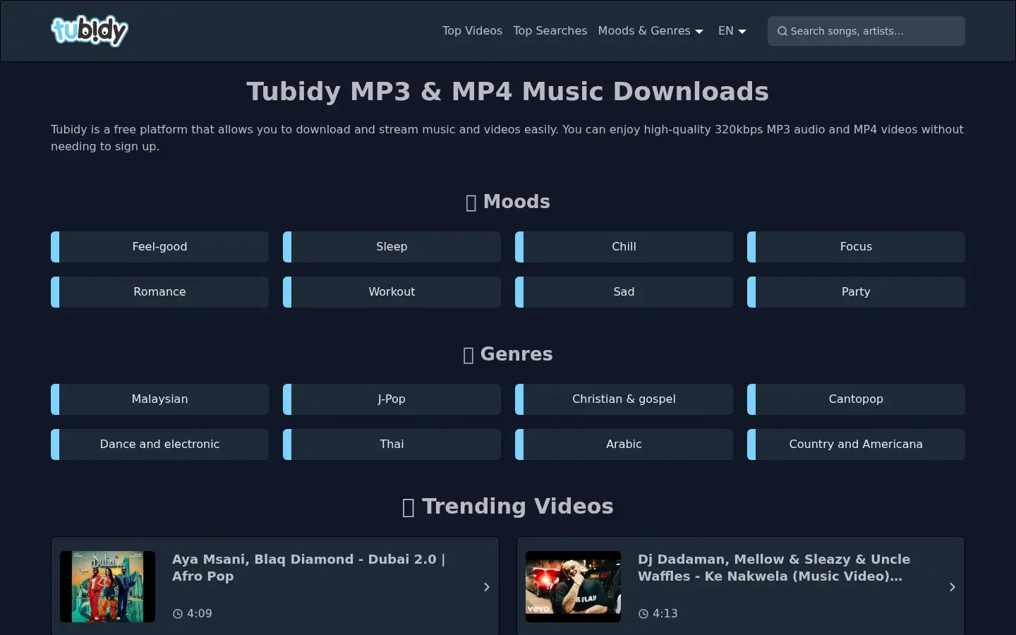 Screenshot of www-tubidy.za.com