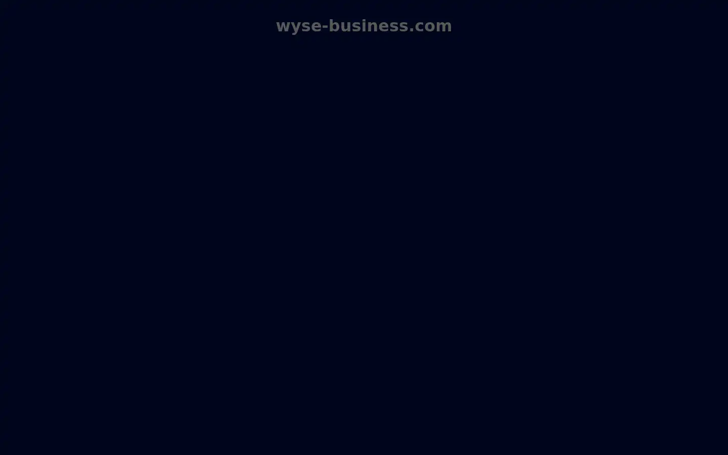 Screenshot of wyse-business.com