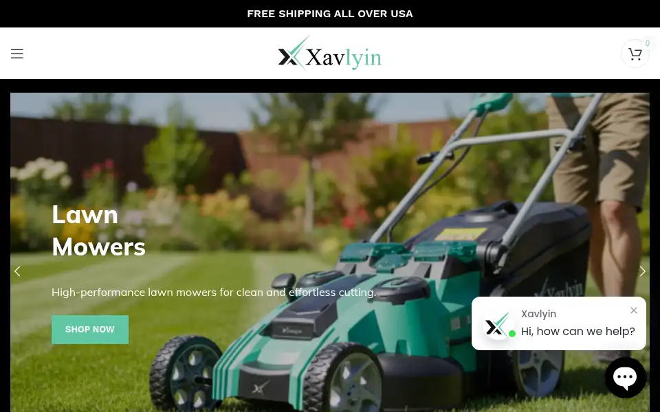 Screenshot of xavlyin.com