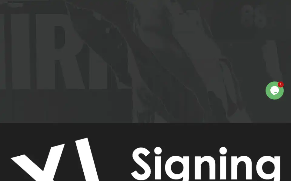 Screenshot of xlsigning.nl