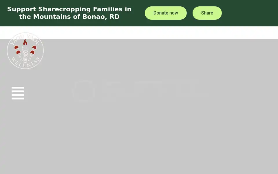 Screenshot of yaouyaouwellness.com
