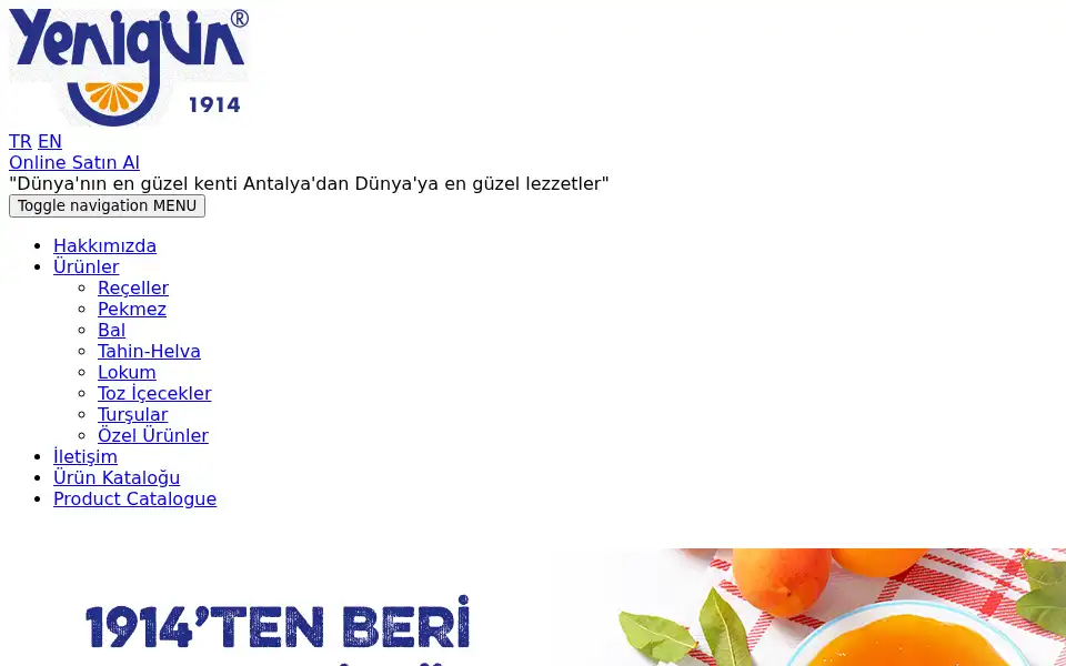 Screenshot of yenigungida.com.tr