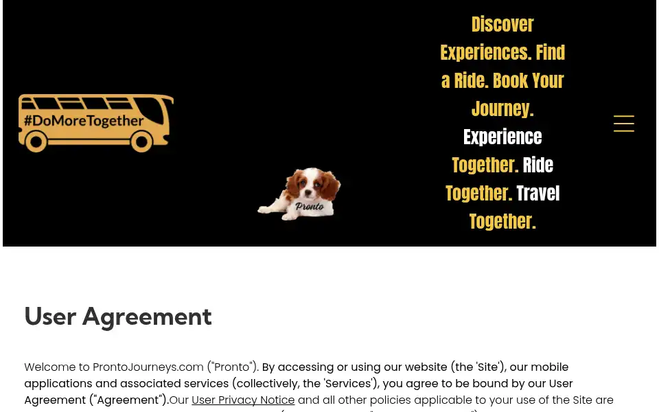 Screenshot of yopronto.com