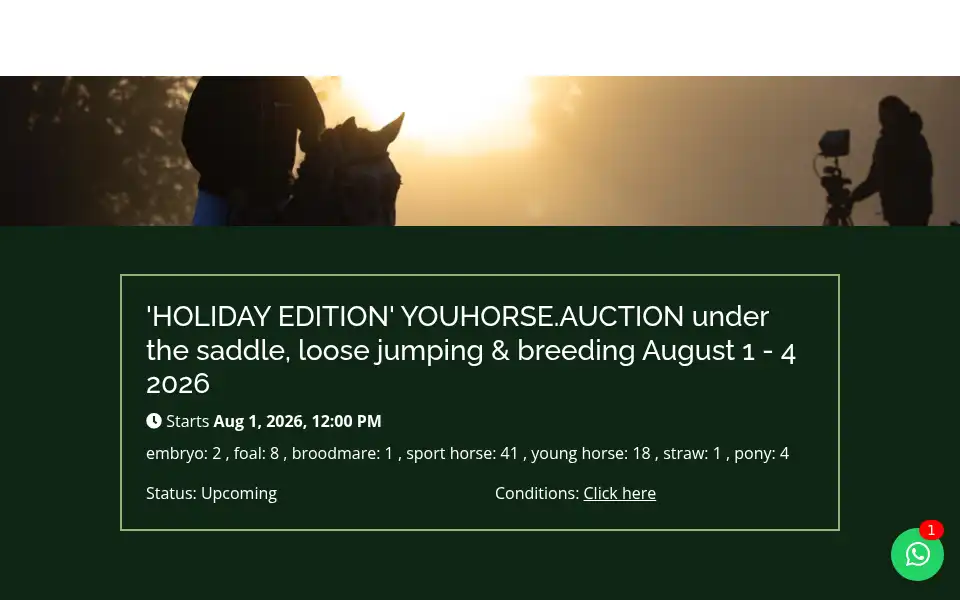 Screenshot of youhorse.auction