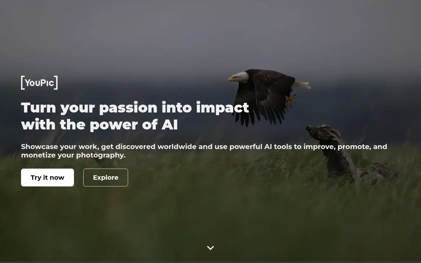 Screenshot of youpic.com