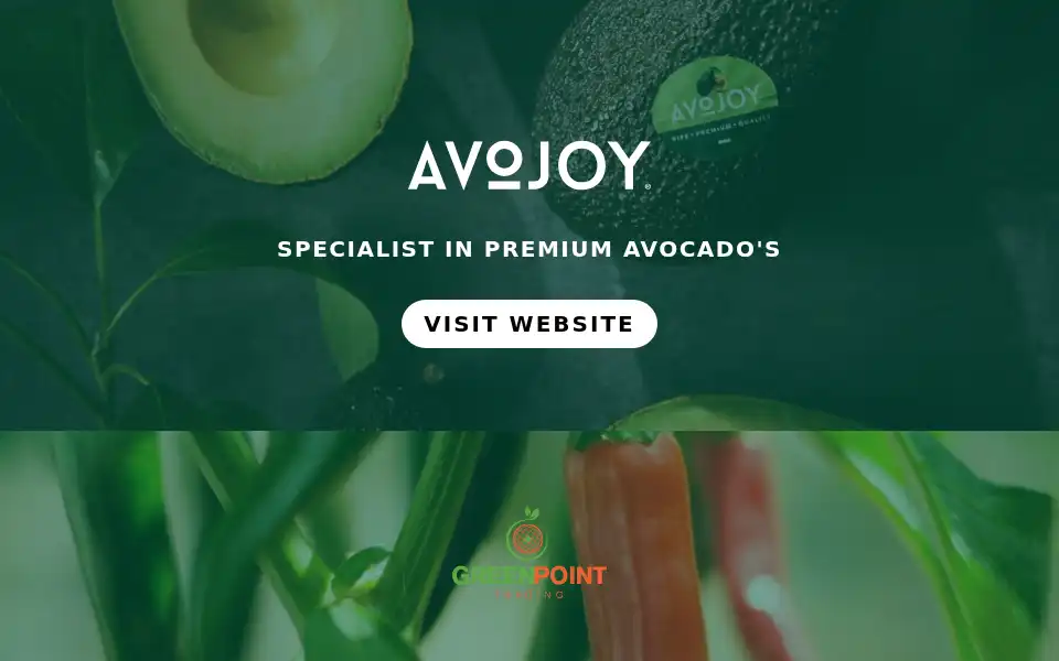 Screenshot of youravojoy.nl
