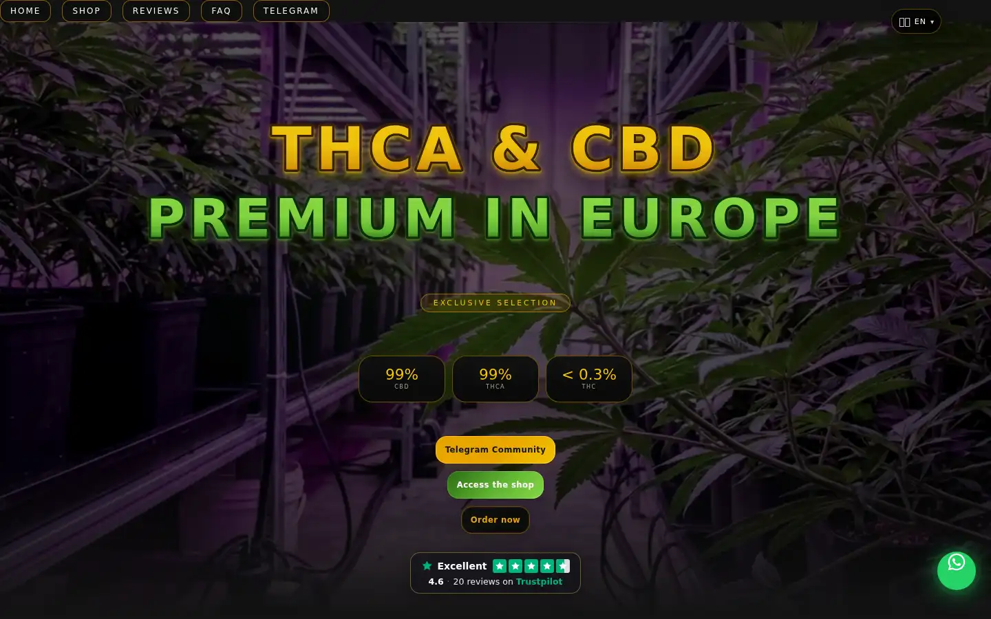 Screenshot of yourgreenconnection.com