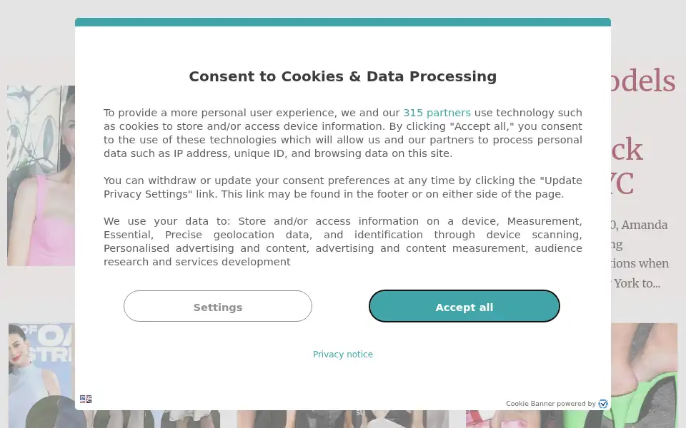 Screenshot of yournextshoes.com