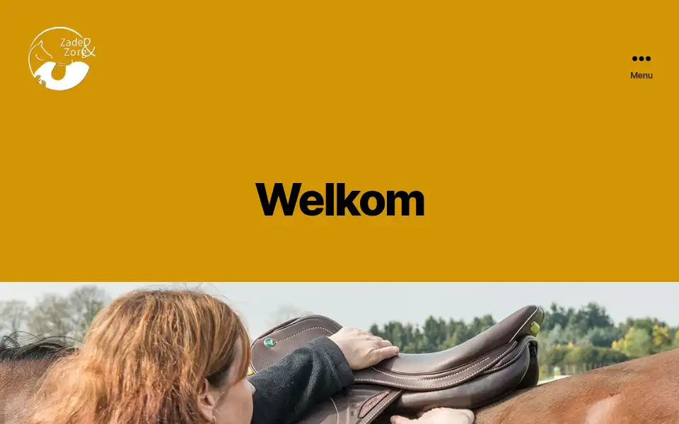 Screenshot of zadelenzorg.nl