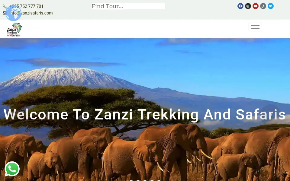 Screenshot of zanzisafaris.com