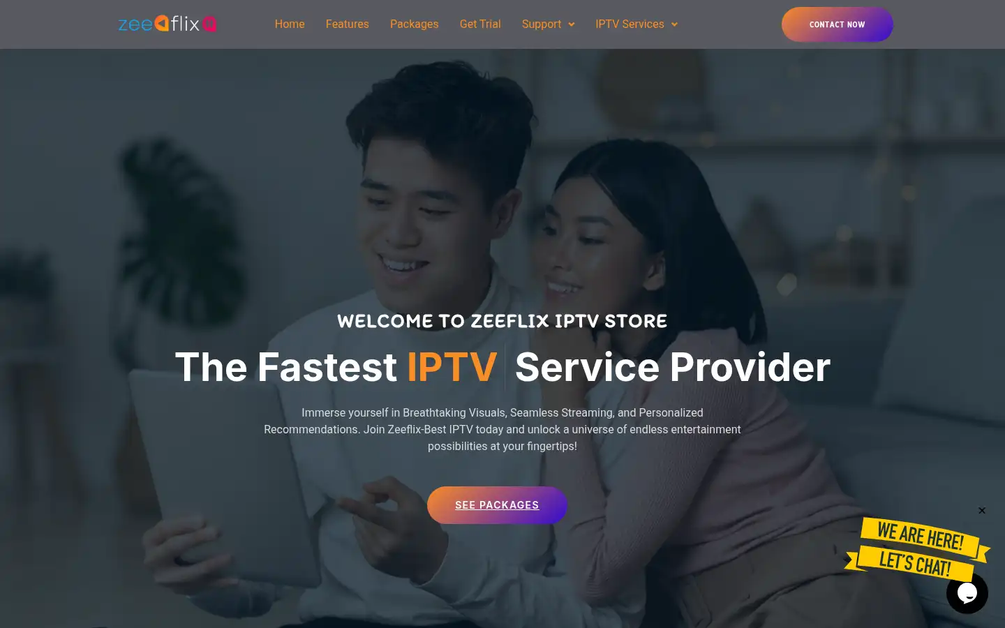 Screenshot of zeeflix.net