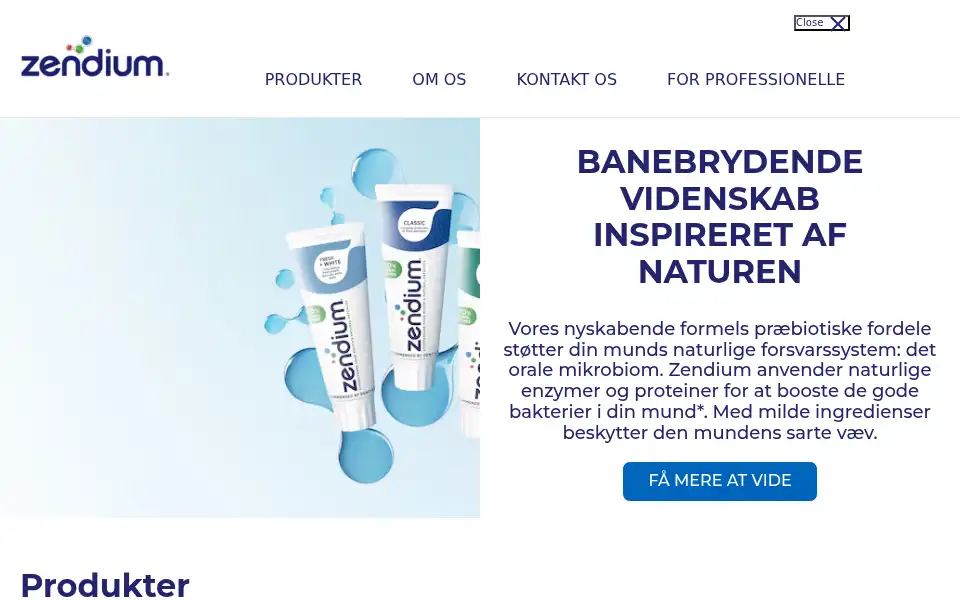 Screenshot of zendium.dk