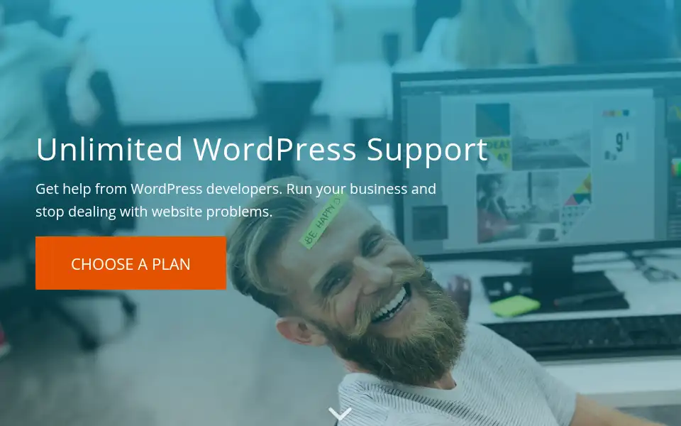 Screenshot of zenwp.co