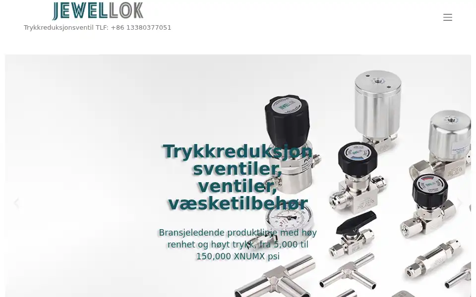 Screenshot of zhsuicel.com