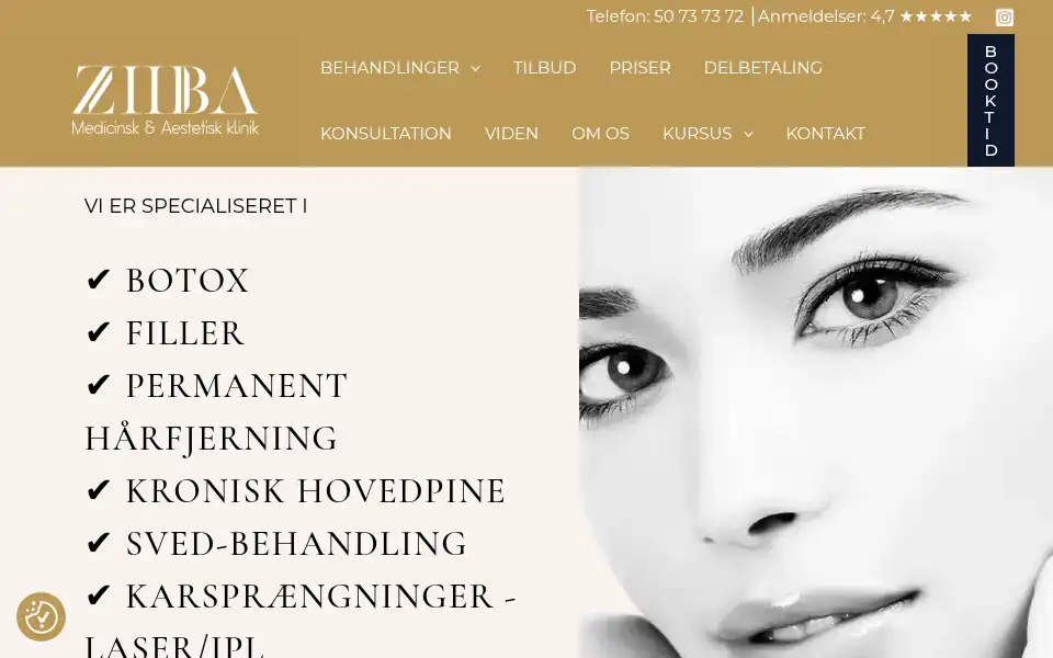 Screenshot of ziiba.dk