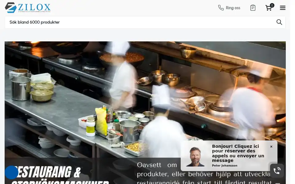 Screenshot of zilox.se