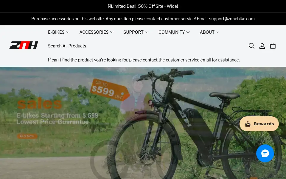 Screenshot of znhebike.com