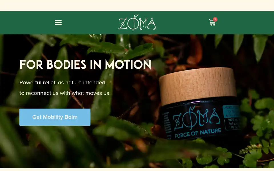 Screenshot of zomatonics.com