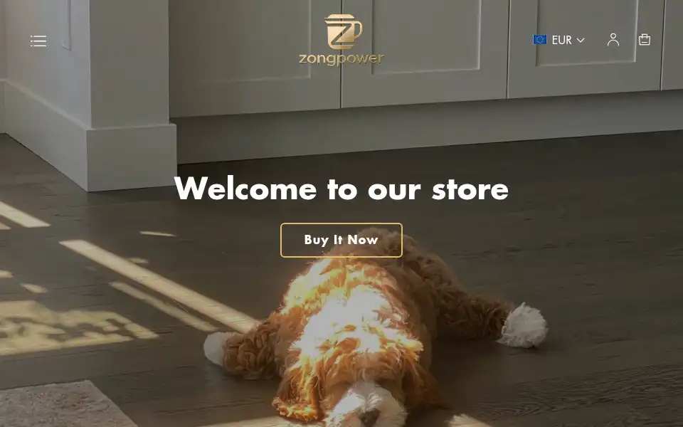 Screenshot of zongpower.com