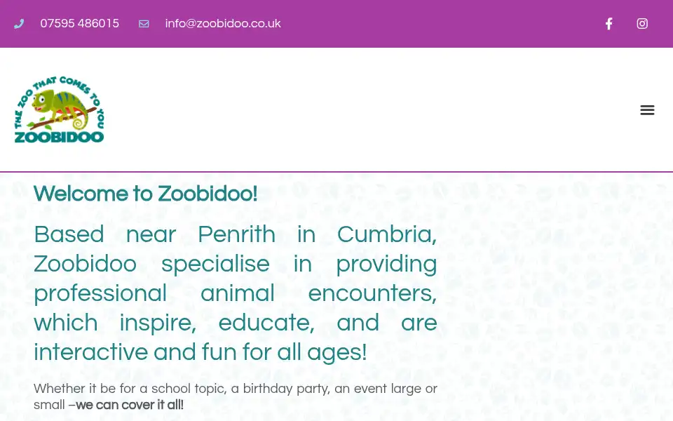 Screenshot of zoobidoo.co.uk