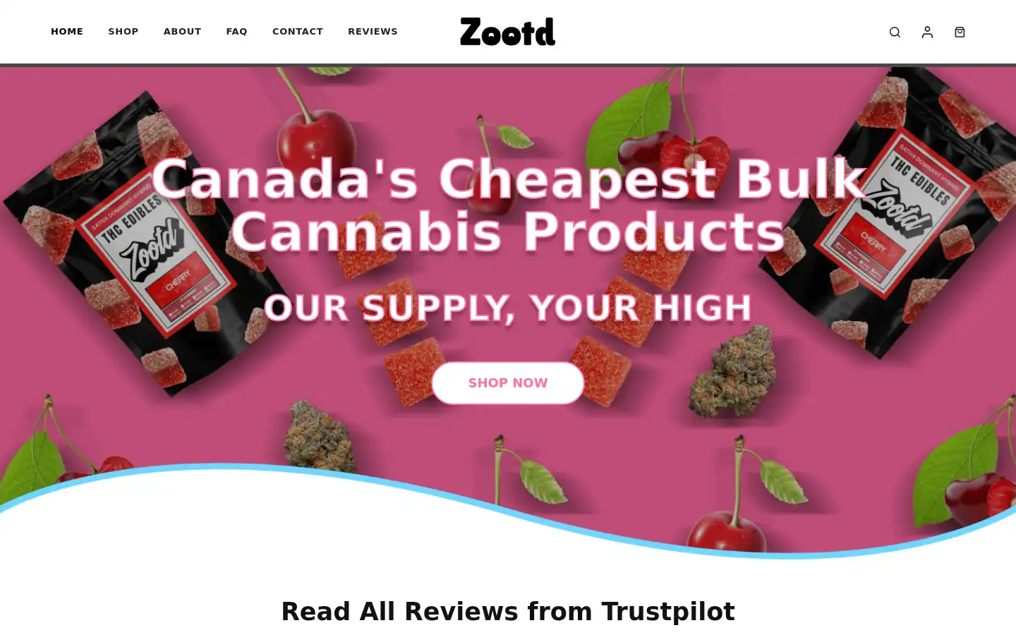Screenshot of zootd.io