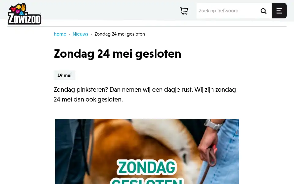 Screenshot of zowizoo.be