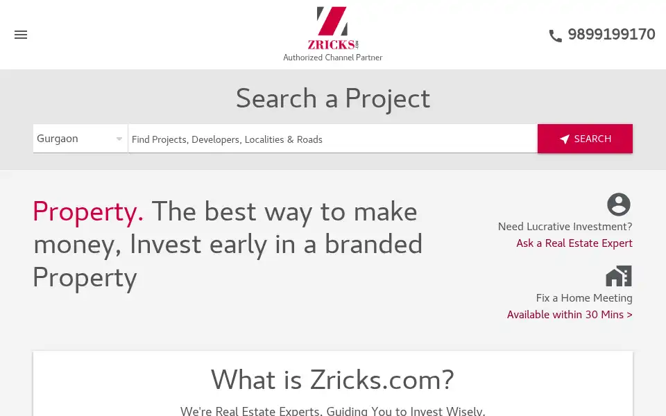 Screenshot of zricks.com