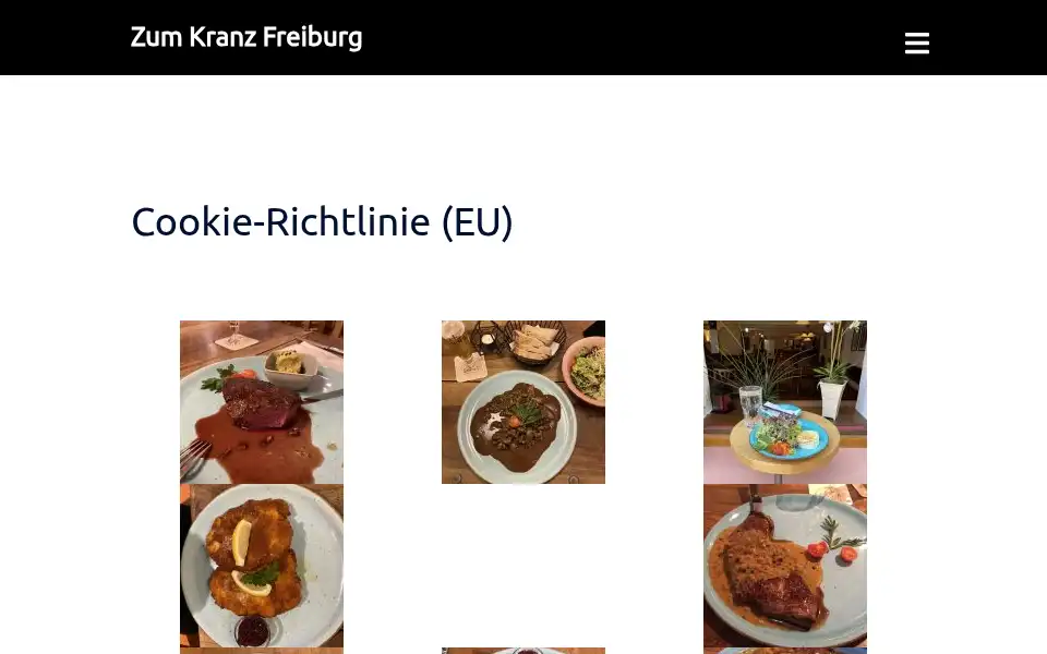 Screenshot of zum-kranz-freiburg.de
