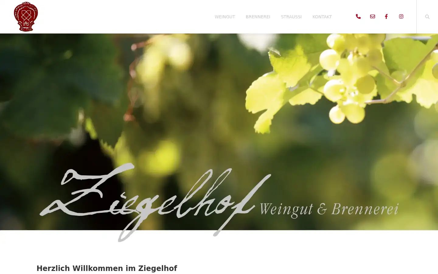 Screenshot of zum-ziegelhof.de