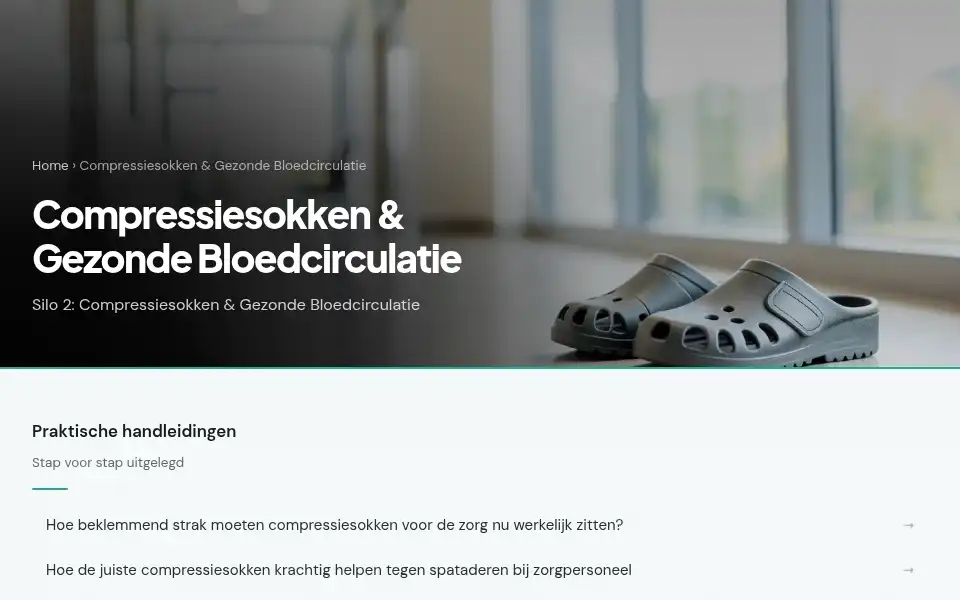 Screenshot of zustershop.nl
